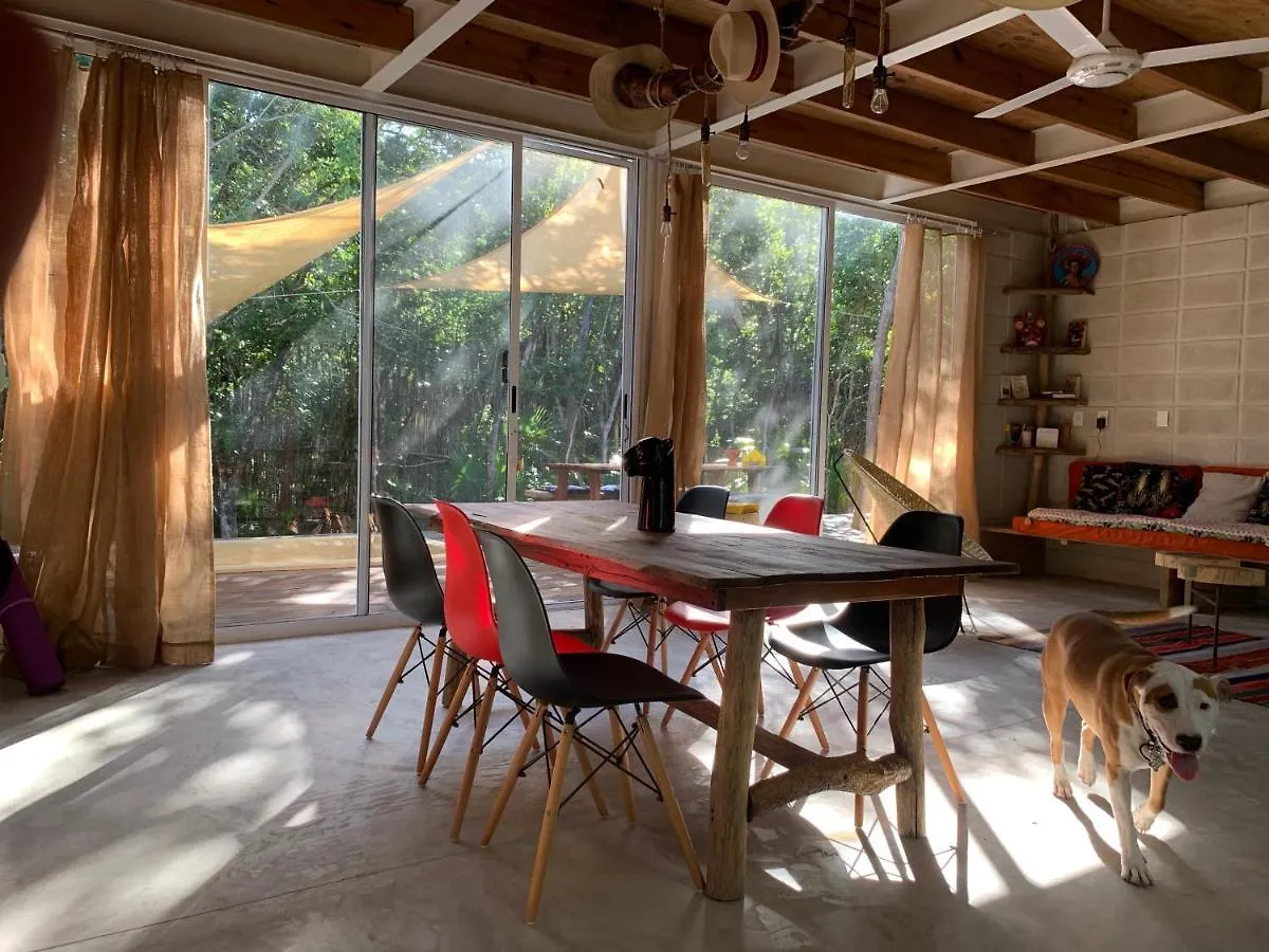 Jungle Casa Villa Tulum 0*,  Mexico