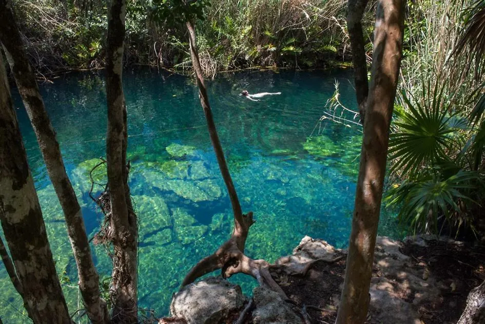 Jungle Casa Villa Tulum