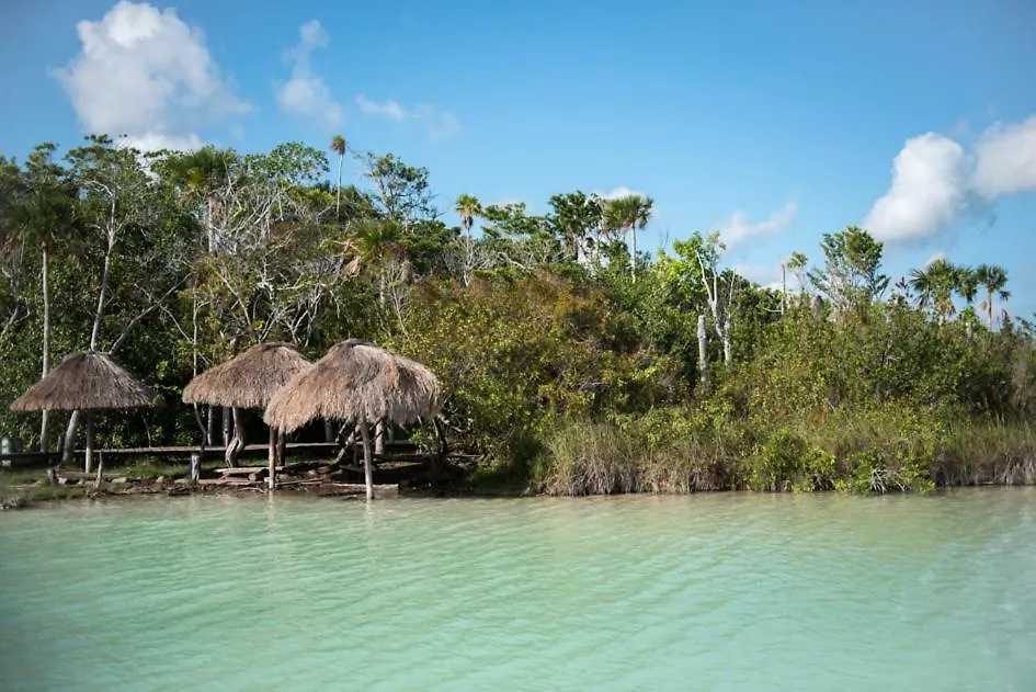Jungle Casa Villa Tulum